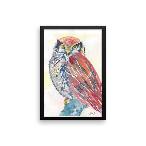 Owl