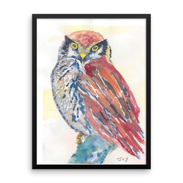 Owl