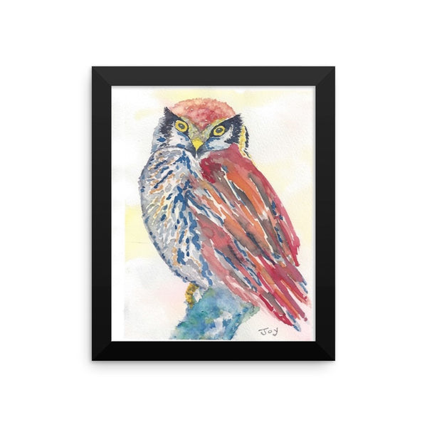 Owl
