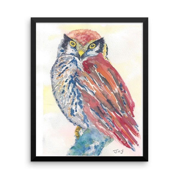 Owl