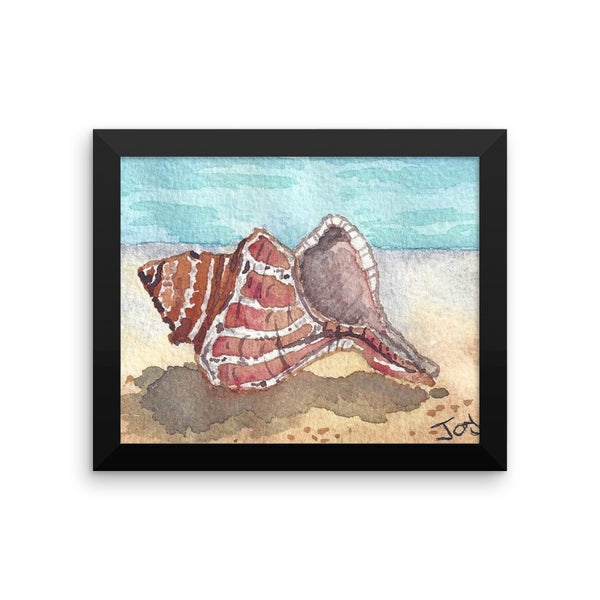 Shell