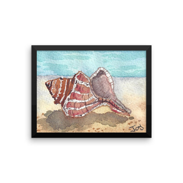 Shell