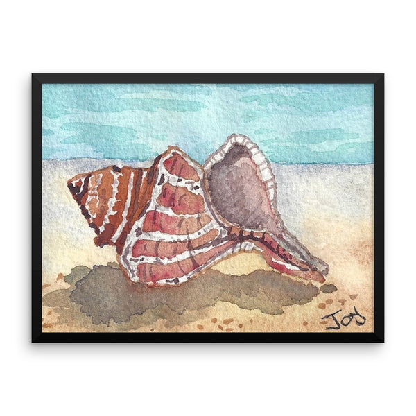 Shell