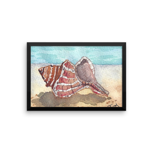 Shell