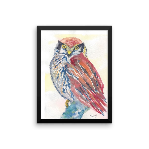 Owl